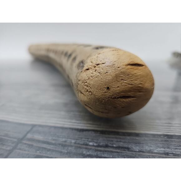 Chilean Cactus Rain Stick • Musical Instrument • Curved • 19.5” [64] - Picture 9 of 11